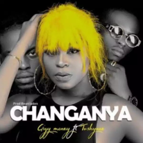 Gigy Money - Changanya ft. Tushynne